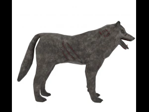 wolf 3D Model