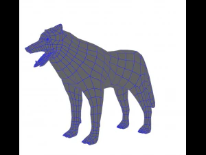 wolf 3D Model