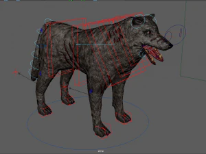 wolf 3D Model