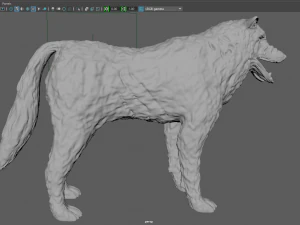 wolf 3D Model