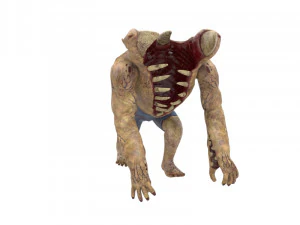 mand&iacute;bula Modelo 3D