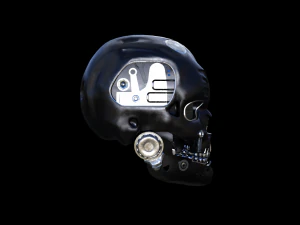 skull head 3D Model