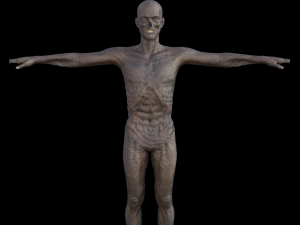 monster hd 3Dモデル