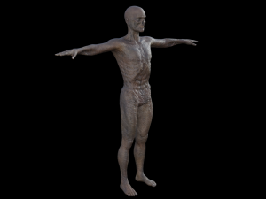 monster hd Modèle 3D