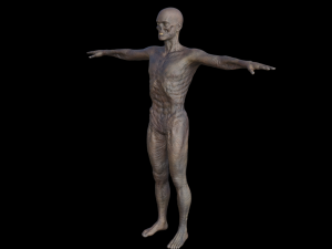 monster hd Modèle 3D