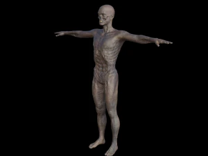 monstruo hd Modelo 3D