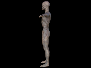 monster hd Modèle 3D