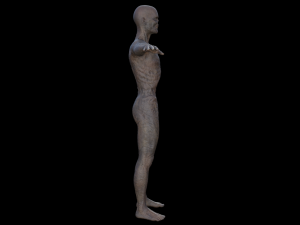 monster hd Modèle 3D