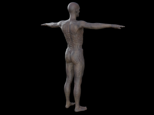 monster hd Modèle 3D