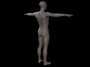 monstruo hd Modelo 3D