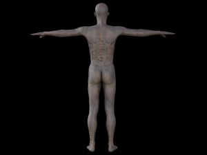 monster hd Modèle 3D