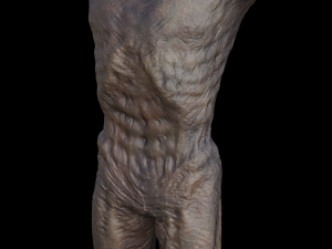 monster hd Modèle 3D