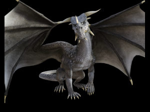 high quality adult dragon 3D 모델