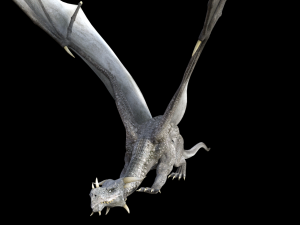 high quality adult dragon 3D 모델