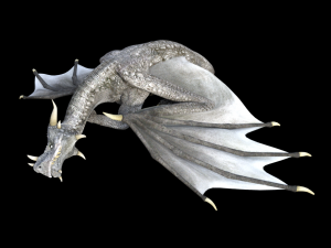high quality adult dragon 3D 모델
