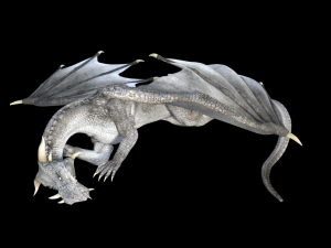 high quality adult dragon 3D 모델