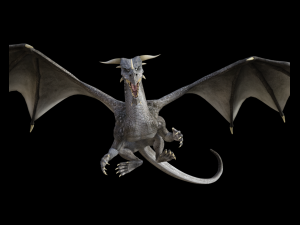 high quality adult dragon 3D 모델
