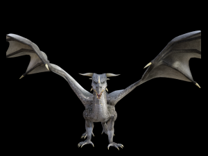 high quality adult dragon 3D 모델