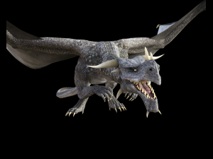high quality adult dragon 3D 모델