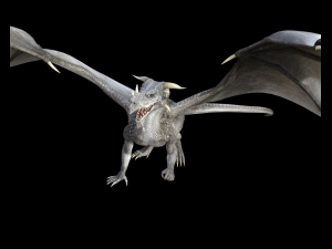 high quality adult dragon 3D 모델