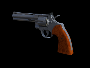 357 magnum 3D Model