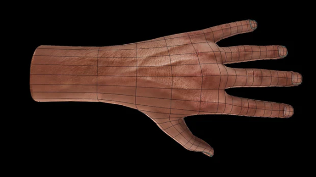 rigged hands 3D Model .c4d .max .obj .3ds .fbx .stl .blend 