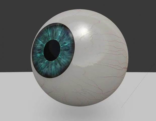 eyeball 3d 3D Model .c4d .max .obj .3ds .fbx .stl .blend 