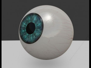 eyeball 3d 3D Model