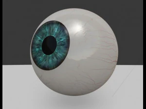 globo ocular 3d Modelo 3D