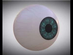 eyeball 3d Model 3D