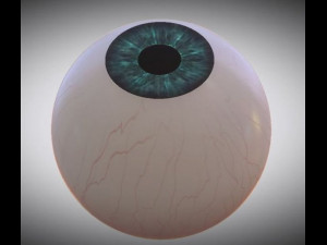 eyeball 3d Model 3D