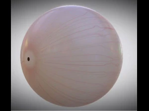 eyeball 3d 3D Model