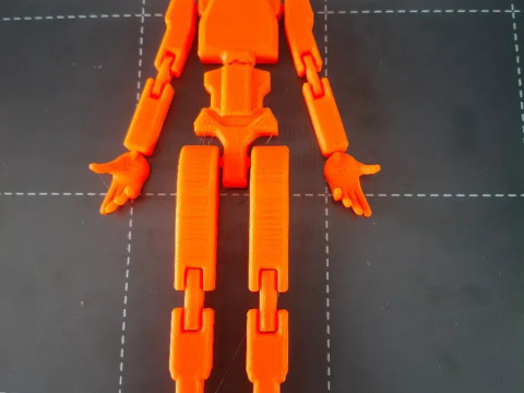 Dummy 13 3D Druckmodell