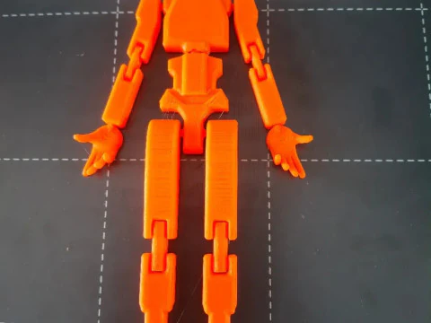 Dummy 13 3D Print Model