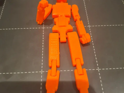 Dummy 13 3D Print Model