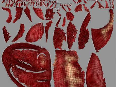 Human Heart 3D Model
