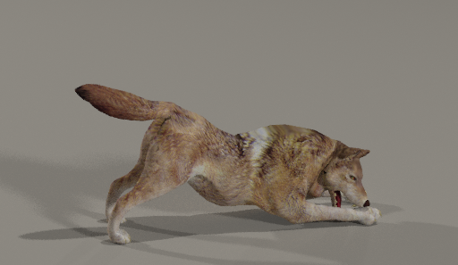 angry wolf Modello 3D .c4d .max .obj .3ds .fbx .stl .blend 