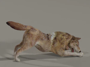 w&uuml;tender Wolf 3D Modell