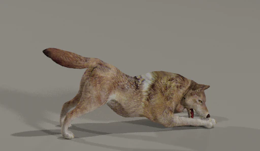 angrwolf 3D Model .c4d .max .obj .3ds .fbx .stl .blend 