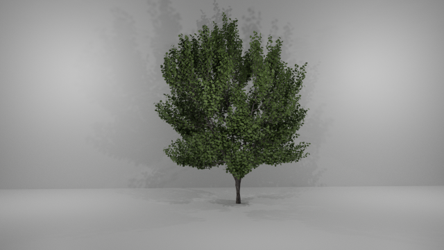tree 3D 模型 .c4d .max .obj .3ds .fbx .stl .blend