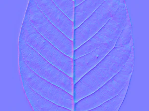tree 3D Model