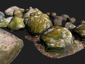 forest rock stone 3D Model