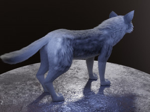 ranky the gray wolf 3Dモデル