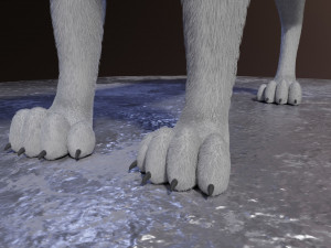 ranky the gray wolf 3Dモデル