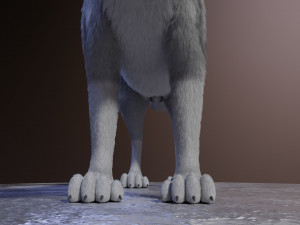 ranky the gray wolf 3Dモデル