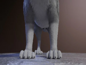 Rank il lupo grigio Modello 3D