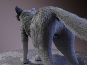 ranky the gray wolf 3Dモデル