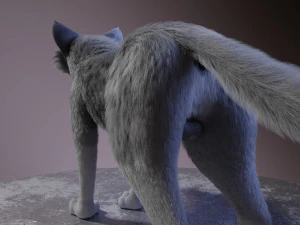 Rank il lupo grigio Modello 3D