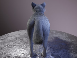 ranky the gray wolf 3Dモデル