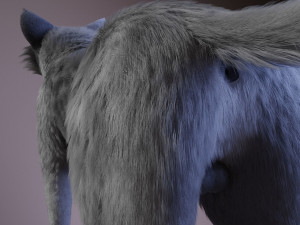 ranky the gray wolf 3Dモデル